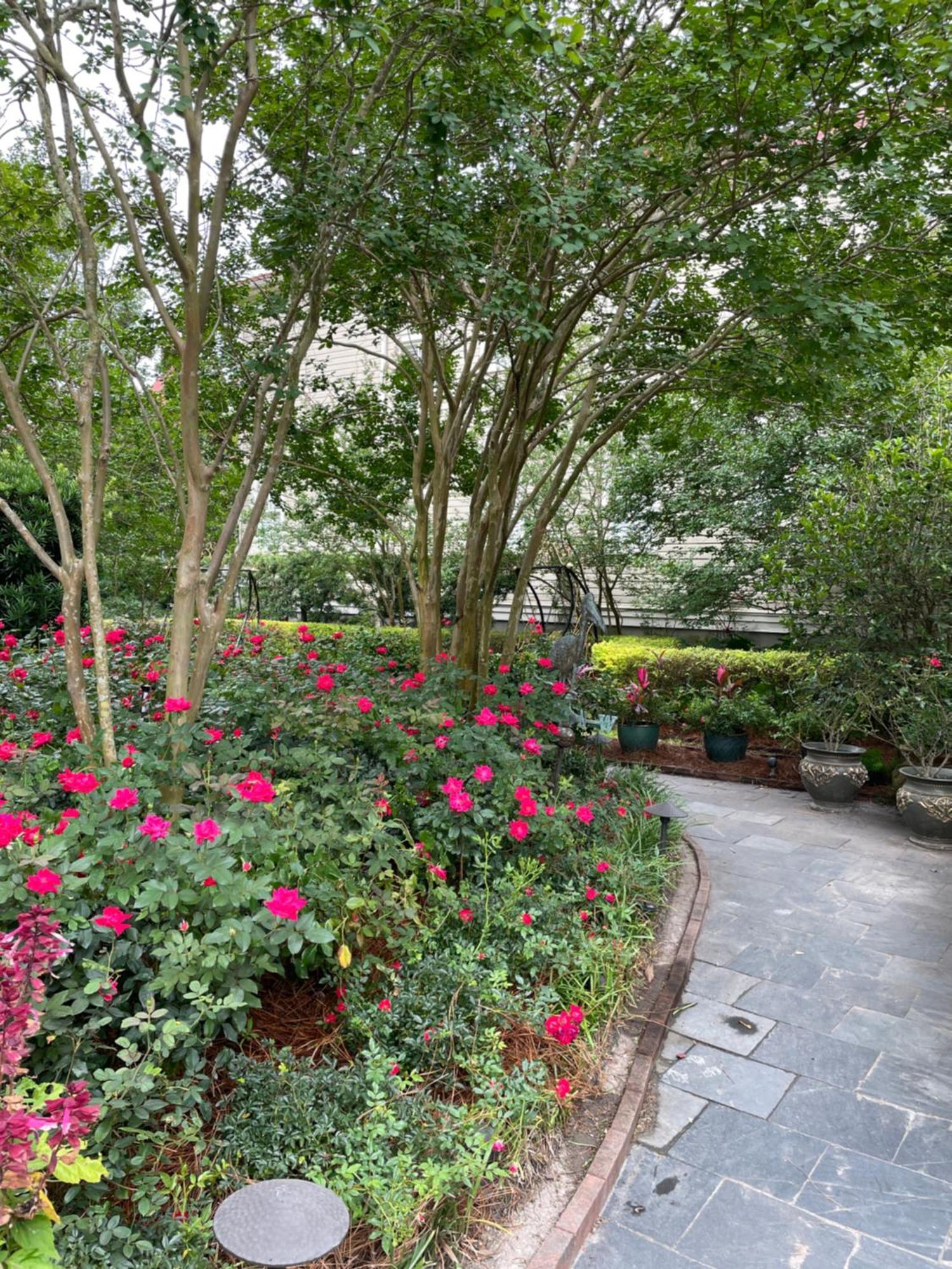 22 Charlotte Bed and Breakfast Τσάρλεστον Εξωτερικό φωτογραφία
